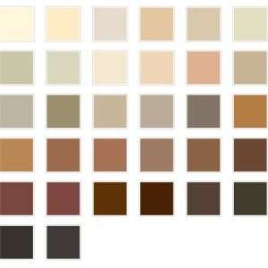 Acrílicos Americana en Tonos Beige