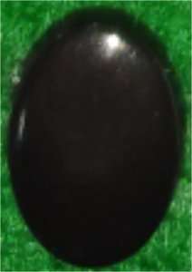 Ojos Ovalados Negros de Seguridad