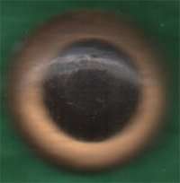 Ojos Cristal de Seguridad