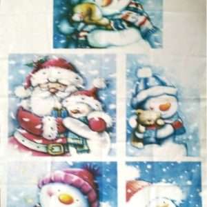 Panel-Nieves-Piccolo