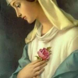 Rosa mistica de Piccolo